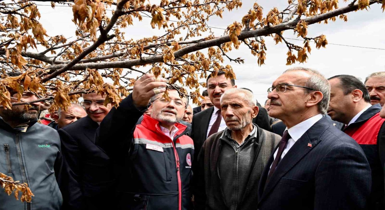 Bakan Yumaklı: Don zararı görülen bölgelerde tüm üreticilere destek sağlanacak