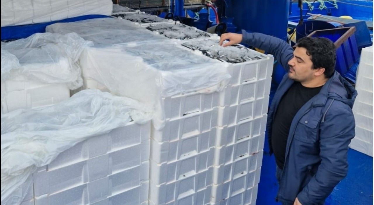 Balık sezonunda İneboludan 2 milyon 965 bin ton balık karaya çıkartıldı