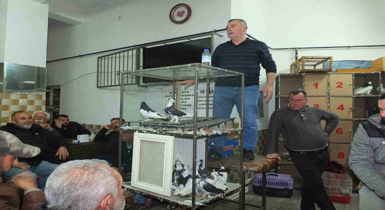 Balıkesirde güvercin meraklıları buluştu