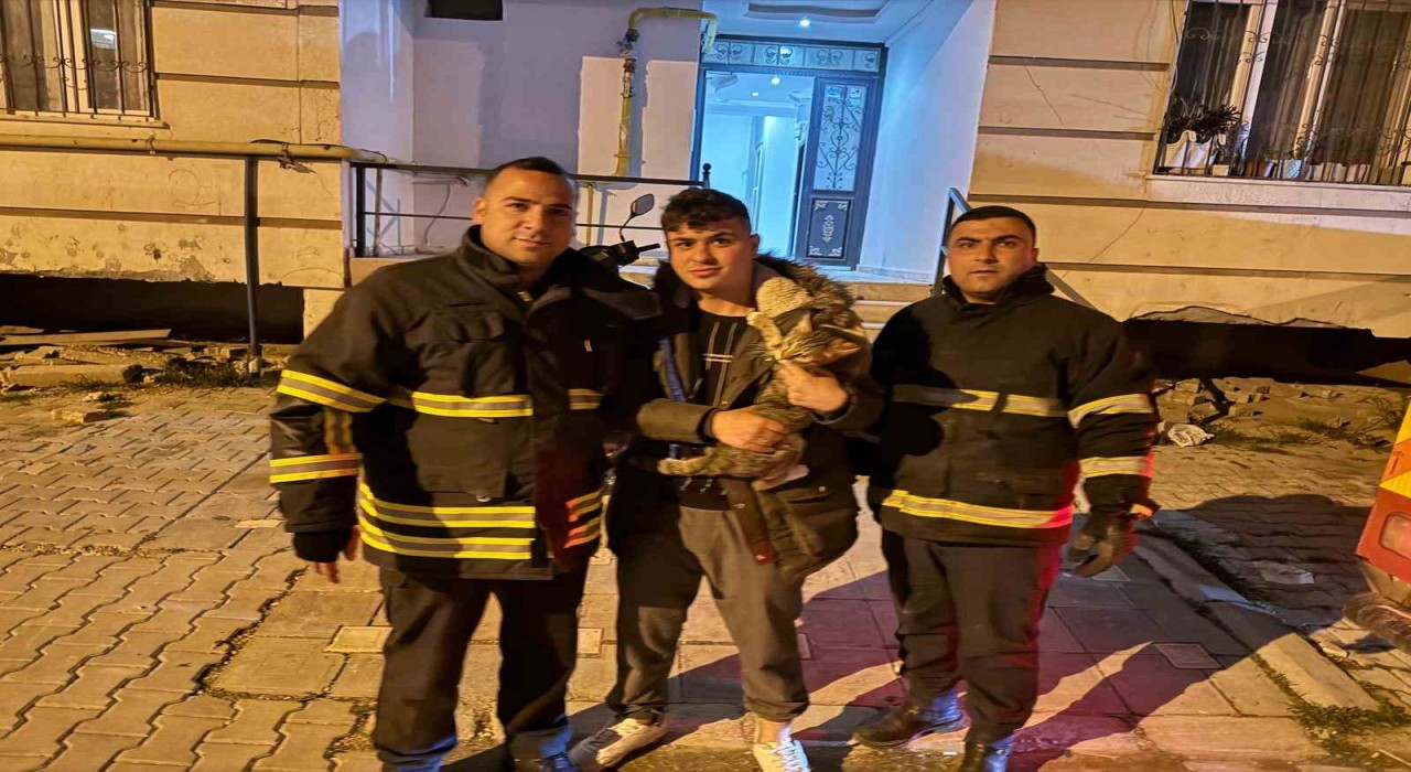 Balkonda mahsur kalan kediyi itfaiye kurtardı