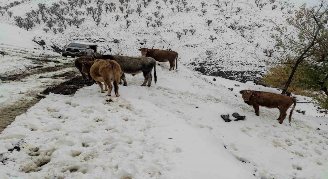 Batmanda nisan ayında kar çilesi: 60 yerleşim yerinin yolu ulaşıma kapandı