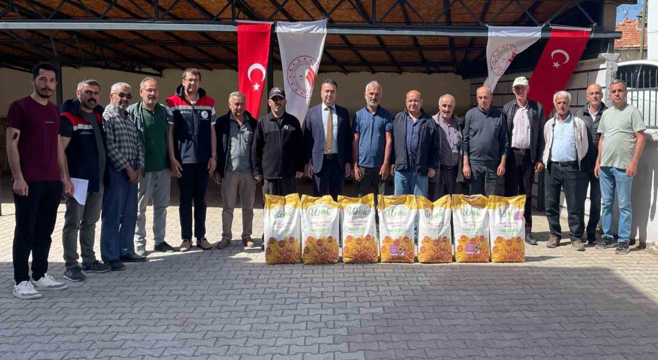 Beyşehirde ayçiçeği ekimi ile tarlalar sarıya boyanacak