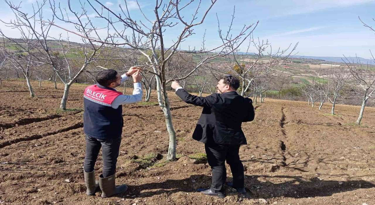 Bilecikte don afeti sonrası hasar tespit çalışmaları devam ediyor