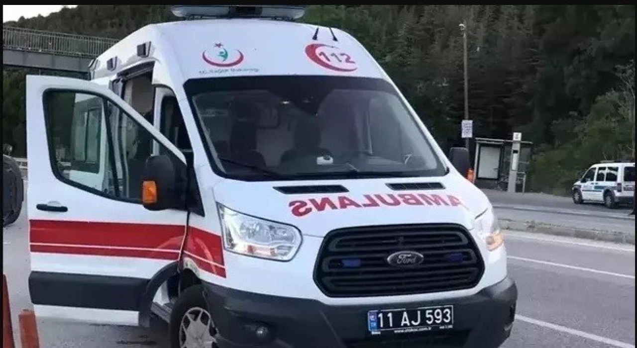 Bilecikte seyir halinde devrilen motosiklet sürücüsü yaralandı