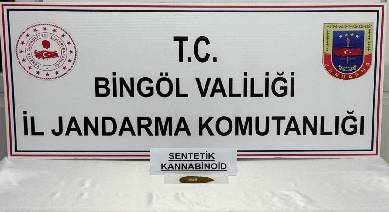 Bingölde bonzai ele geçirildi: 4 gözaltı