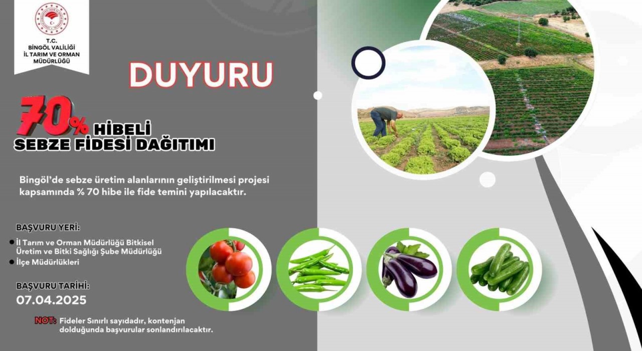 Bingölde çiftçilere yüzde 70 hibe destekli sebze fidesi dağıtılacak
