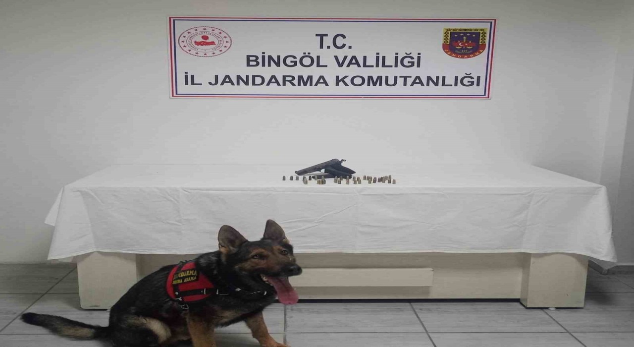 Bingölde ruhsatsız silah ele geçirildi