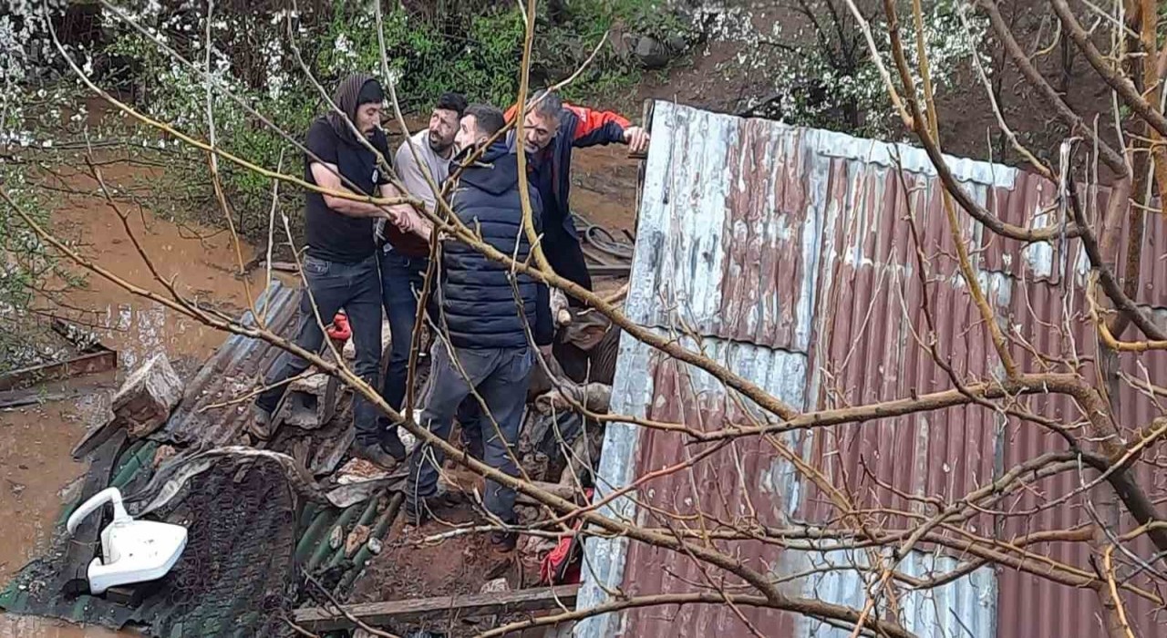 Bingölde sağanak felakete yol açtı: Su basan ahırda çok sayıda hayvan telef oldu