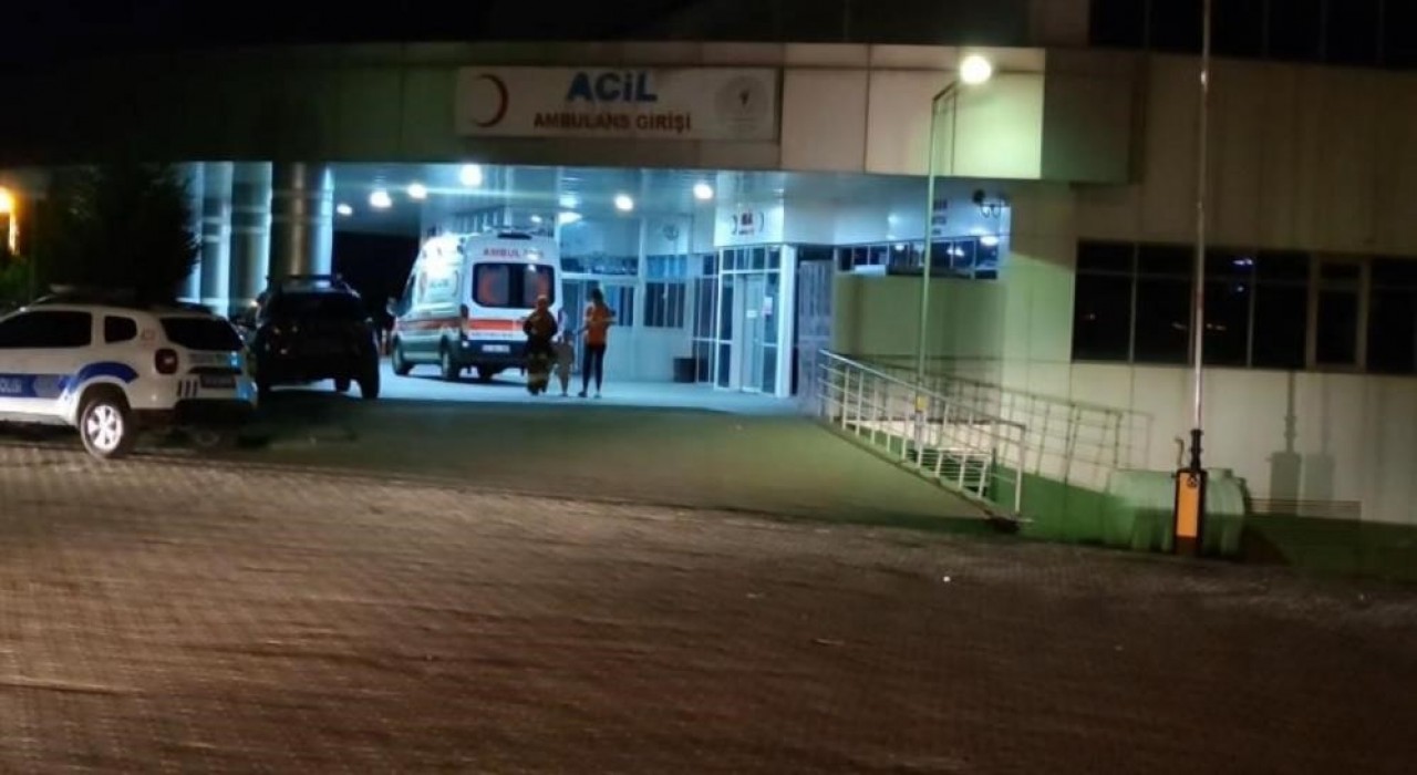 Bingölde trafik kazası: 8 yaralı