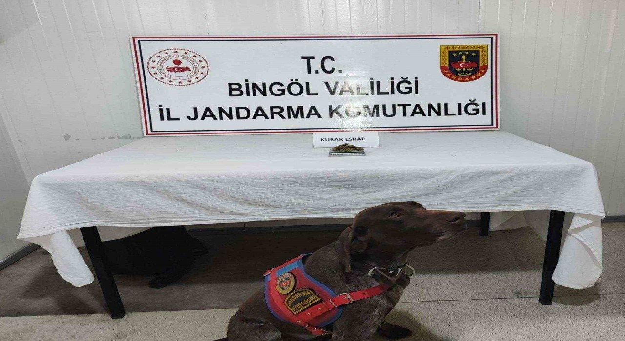 Bingölde uyuşturucu madde ve tüfek ele geçirildi