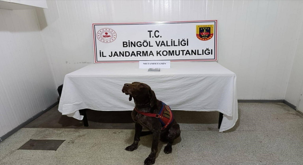 Bingölde uyuşturucuyla mücadele: 2 gözaltı