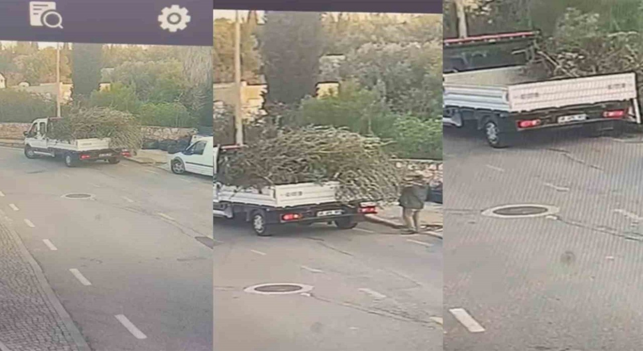 Bodrum Belediyesinden çevreyi kirletenlere cezai işlem