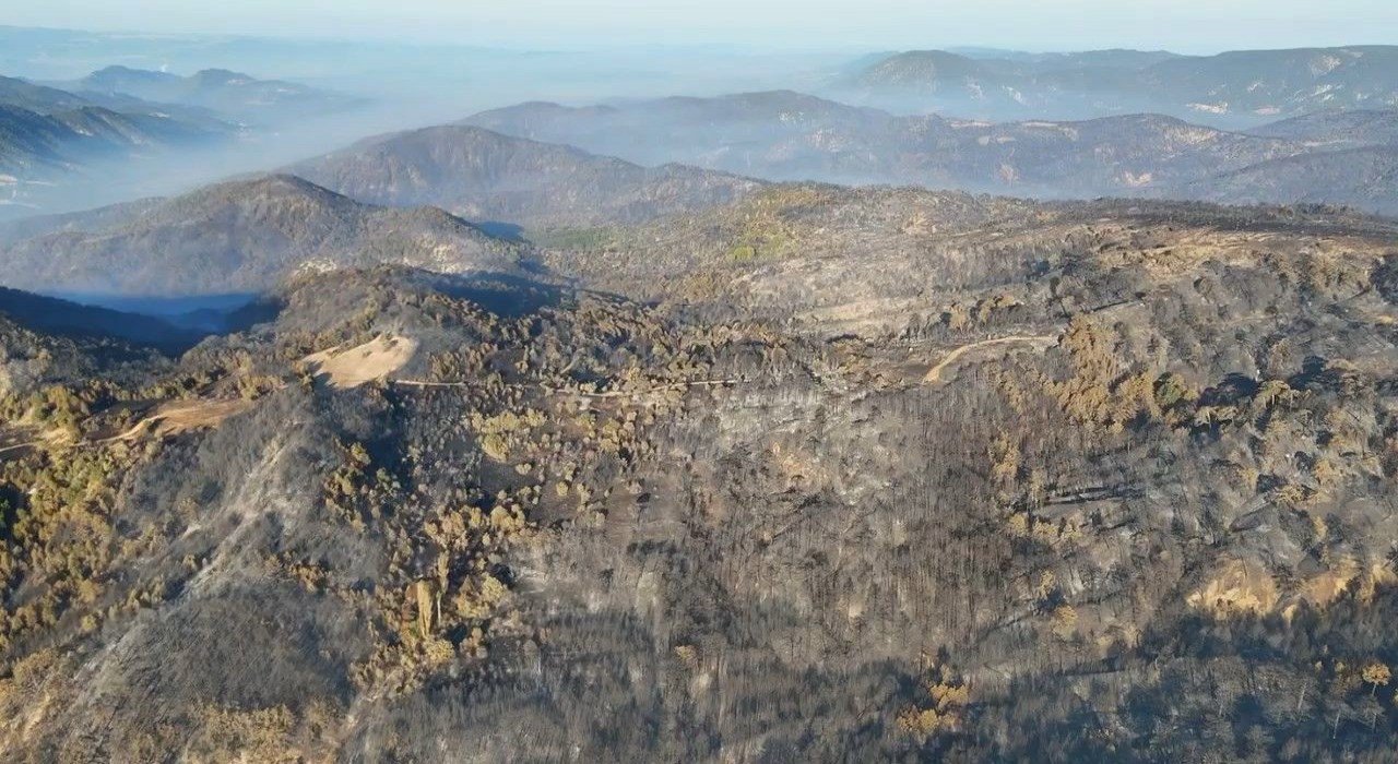 Boluda ormanlar küllerinden doğacak: 5 milyondan fazla fidan toprakla buluşacak