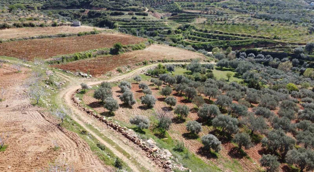 Bozdoğanda arazi yolları bakıma alındı