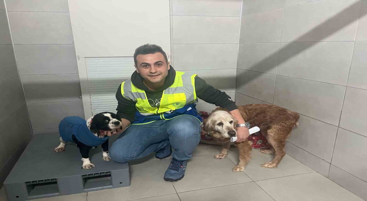 Bursa Büyükşehir, bayramda da can dostların yanında