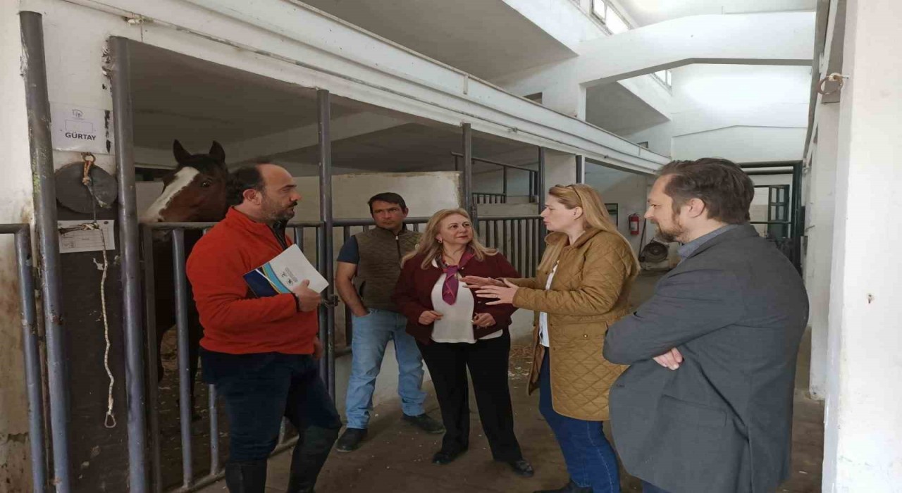BUÜde At Destekli Liderlik ve Koçluk Semineri verildi