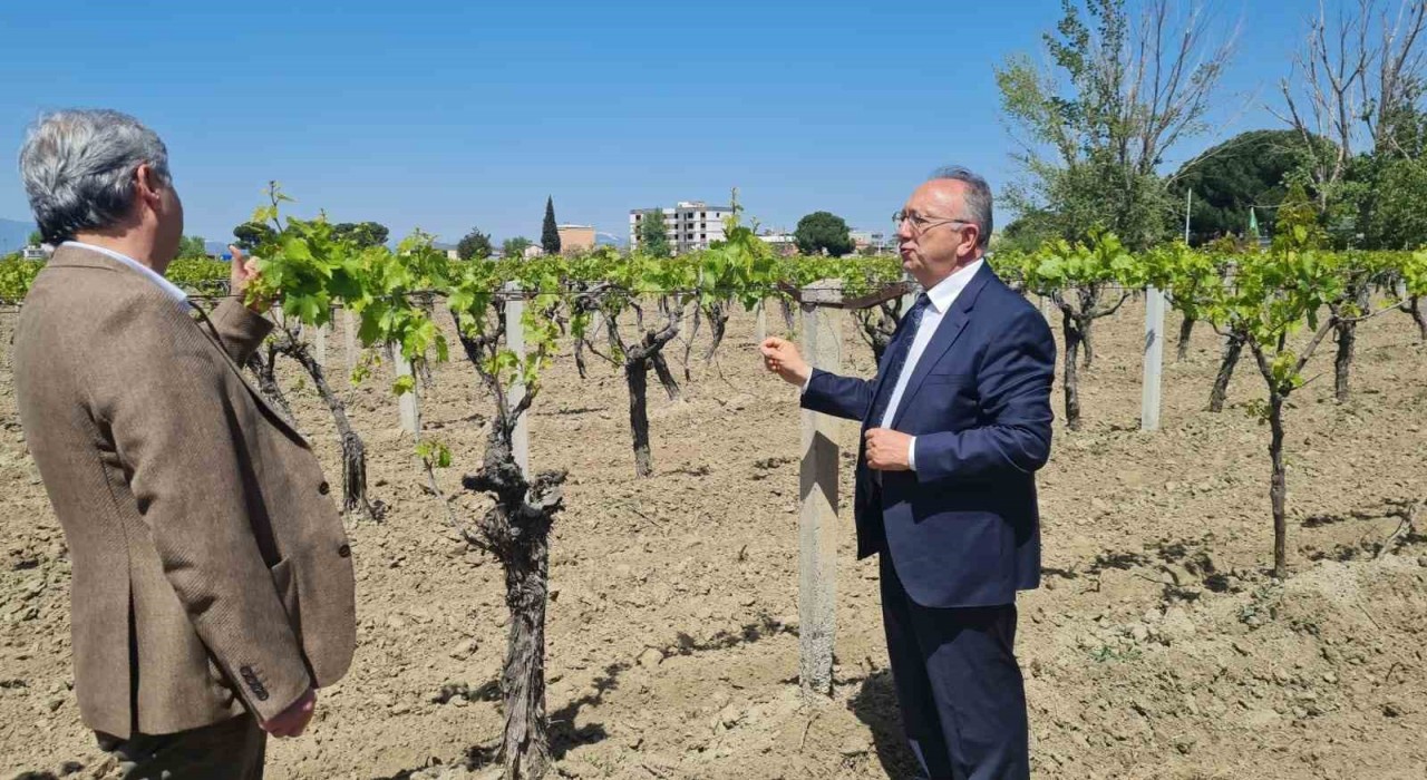 Büyükşehirden don zararına uğrayan üreticilere destek