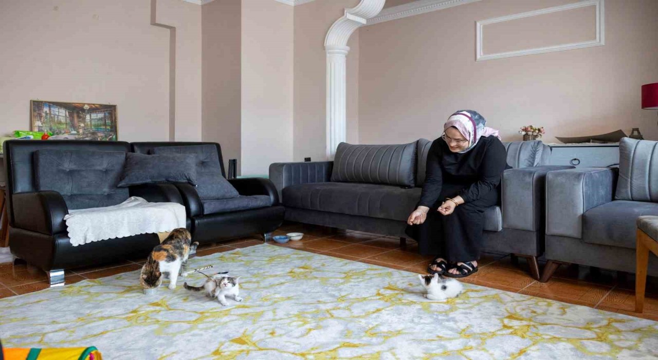 Cami avlusuna sığınan anne kedinin yavruları sahiplendirilecek