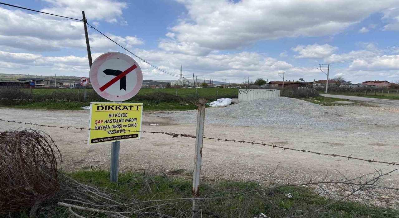 Çanakkalede bir köye daha şap karantinası