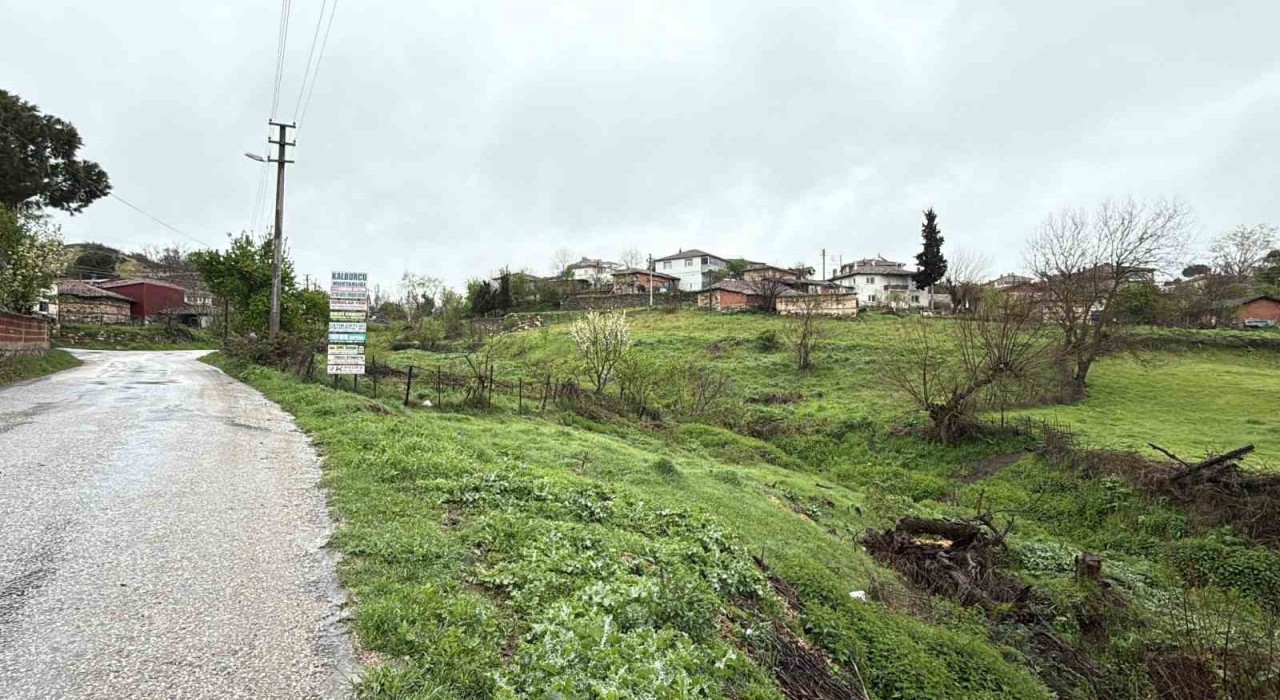 Çanakkalede şap karantinası