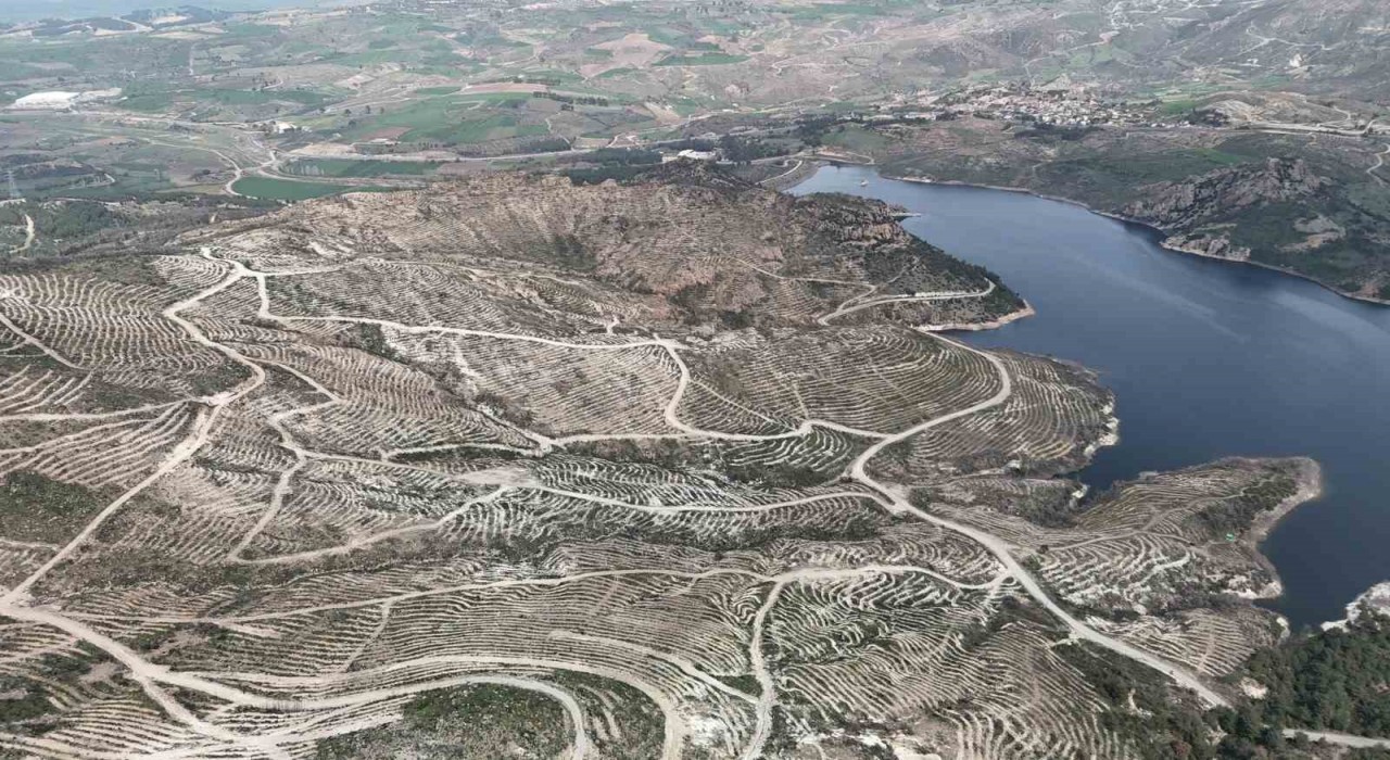 Çanakkalede yanan ormanlar yangına dayanıklı fidanlarla yeniden yeşerdi