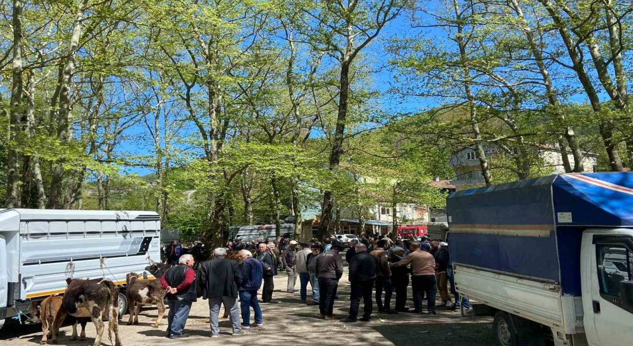 Çarşamba Pazarında Kurban Bayramı hareketliliği başladı