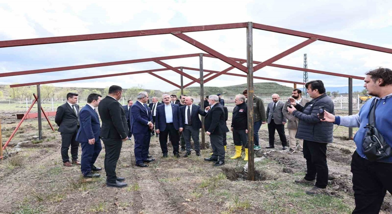 Çorumda atıklardan sokak hayvanları için mama üretilecek