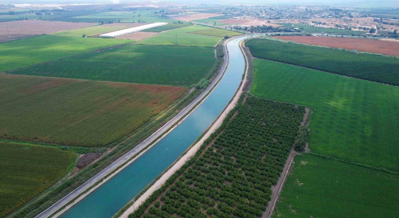 Çukurovada yağan yağmurlar tarım ürünlerine can suyu oldu