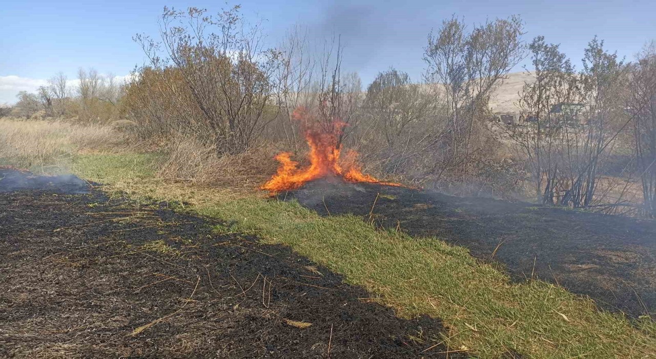 Darendede sazlık yangını