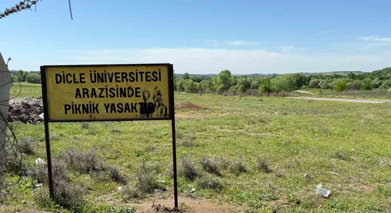 Dicle Üniversitesinde 400 dönümlük arazinin usulsüzce el altından kiralandığı iddiası CİMERe yazıldı
