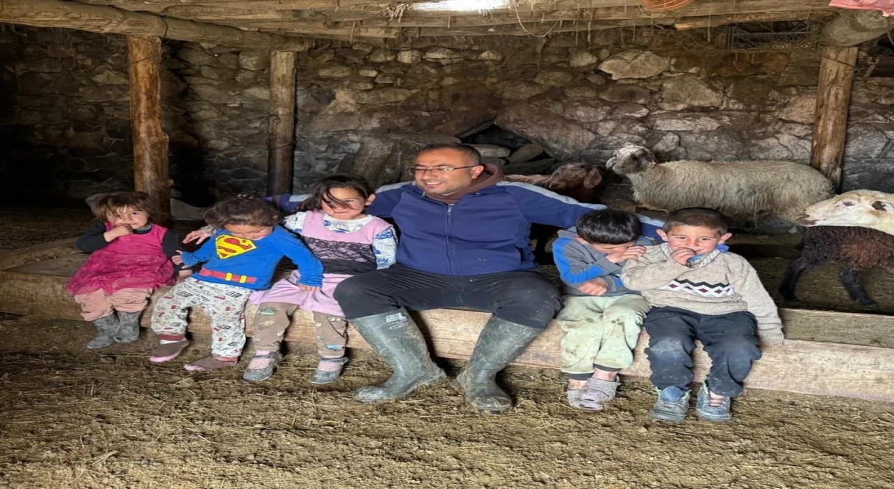 Diyadinde büyükbaş hayvanlar için aşılama ve küpeleme seferberliği