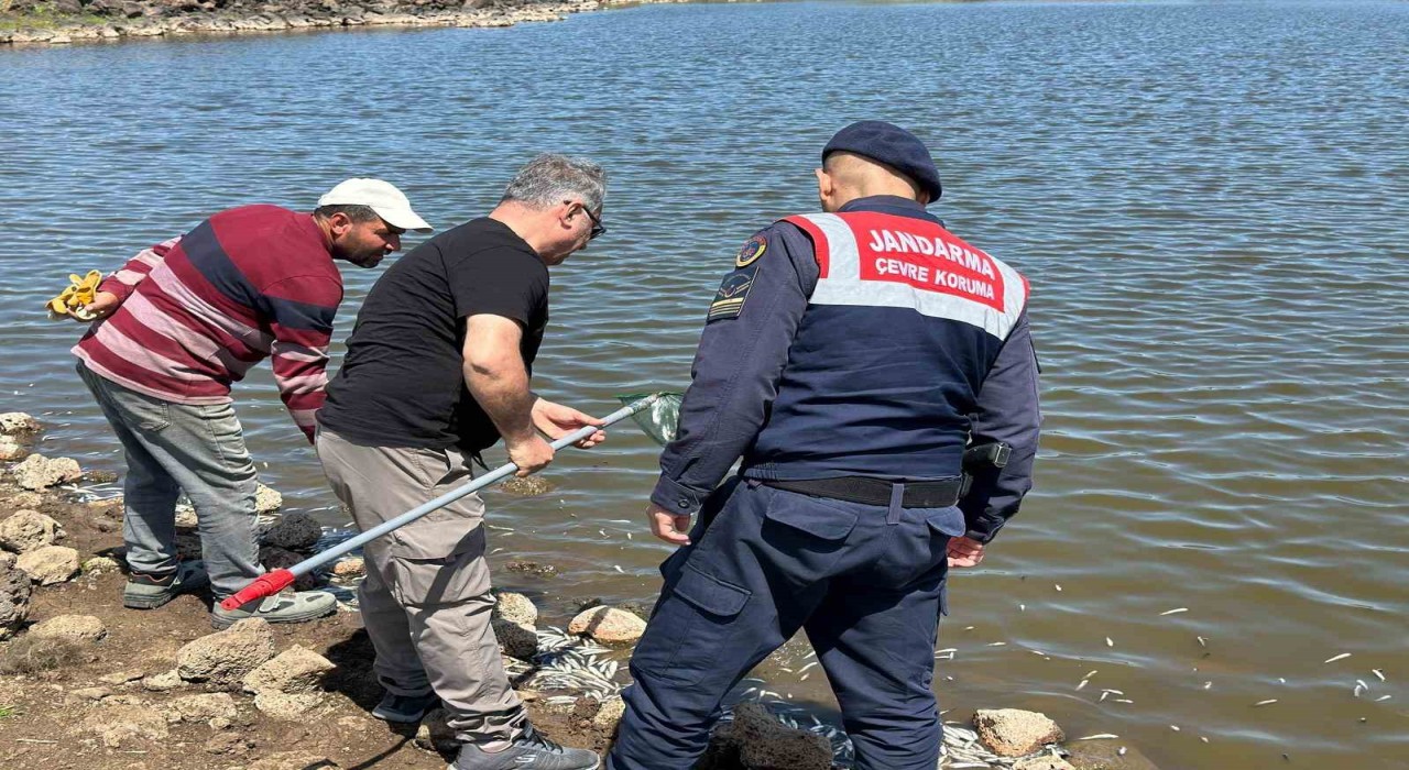 Diyarbakırda göletteki balık ölümlerine inceleme
