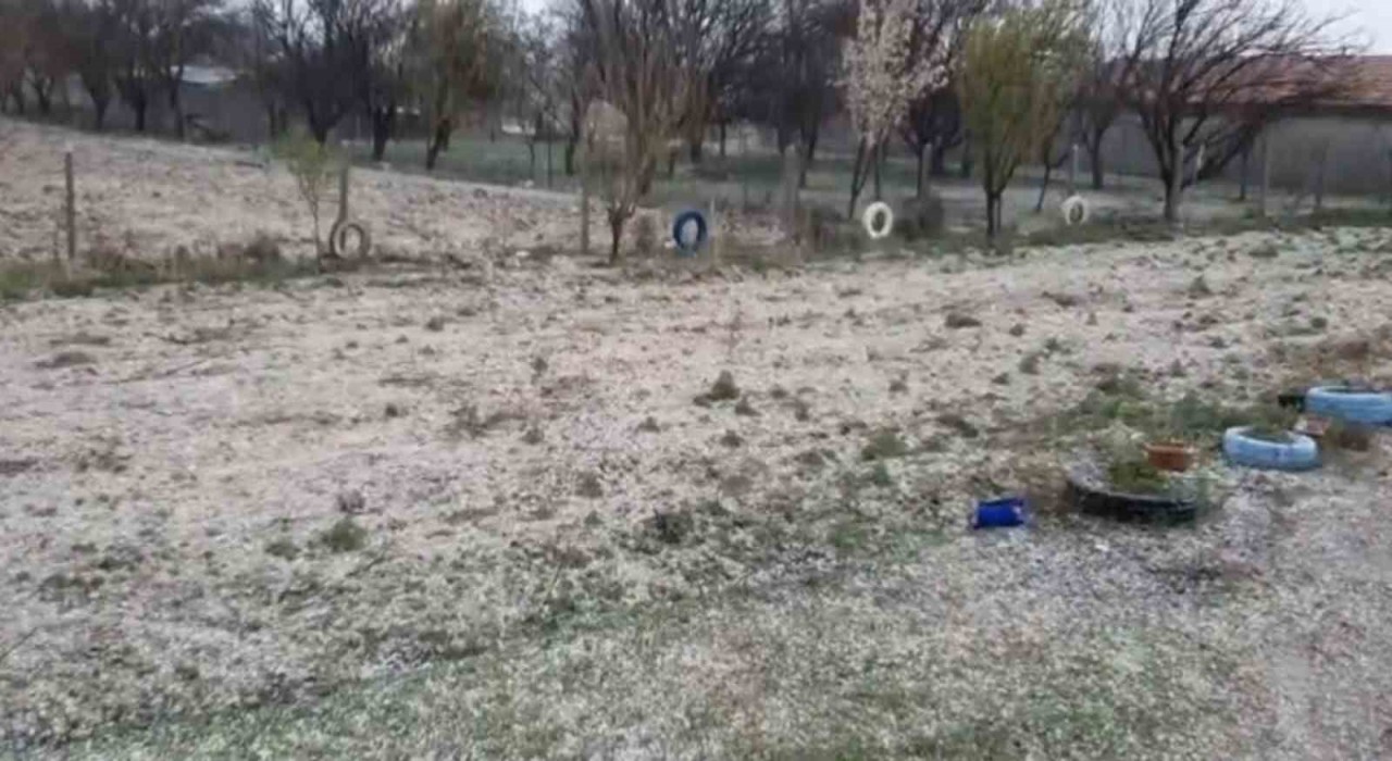 Dolu, hububatta kök hastalığına davetiye çıkardı