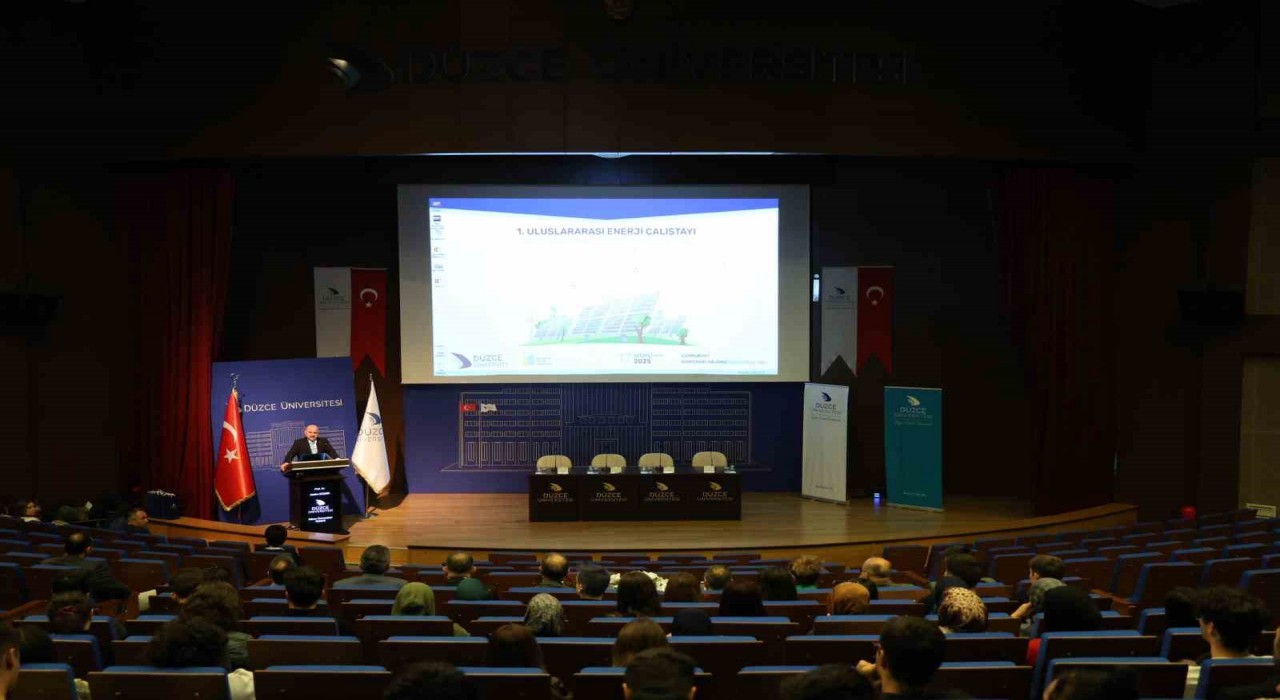 Düzce Üniversitesinde enerji çalıştayı