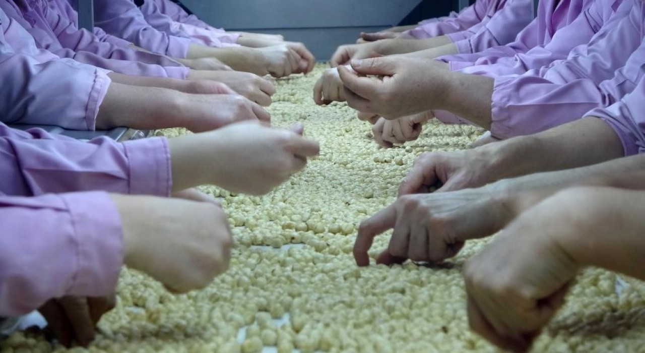 Düzcede AB ülkelerine 8 bin 374 ton gönderildi