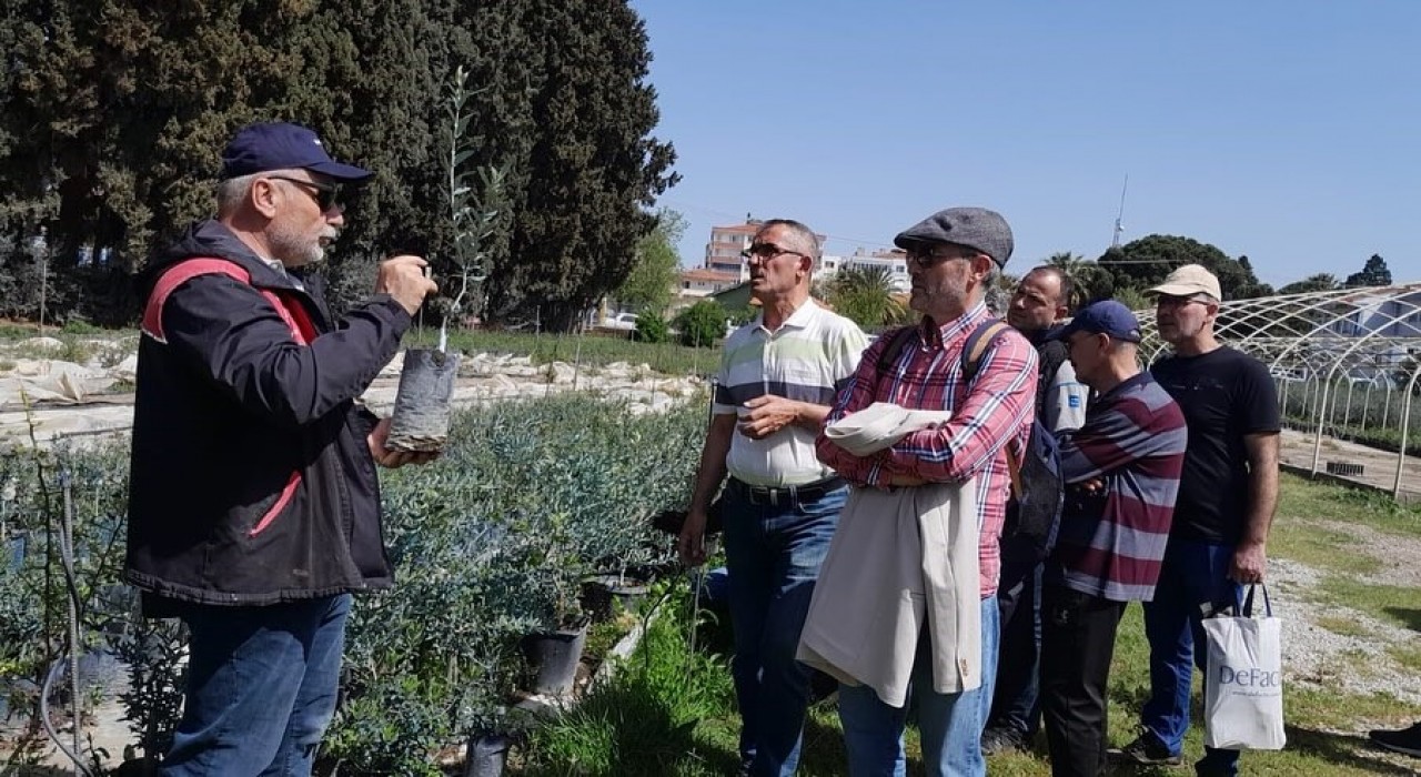 Edremitte zeytin budama kursu uygulamalı eğitimle tamamlandı