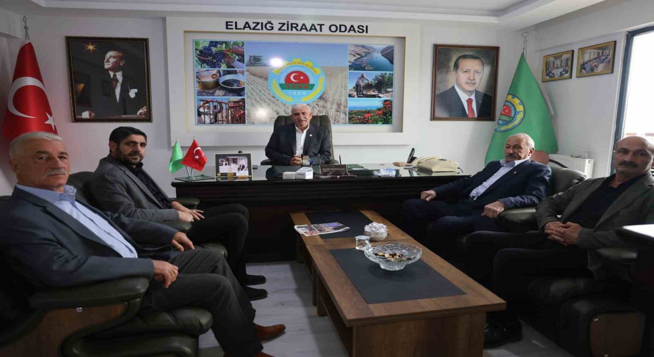 Elazığ Ziraat Odası Başkanı Hacıoğulları: Elazığ, zirai don ile bir deprem daha geçirdi