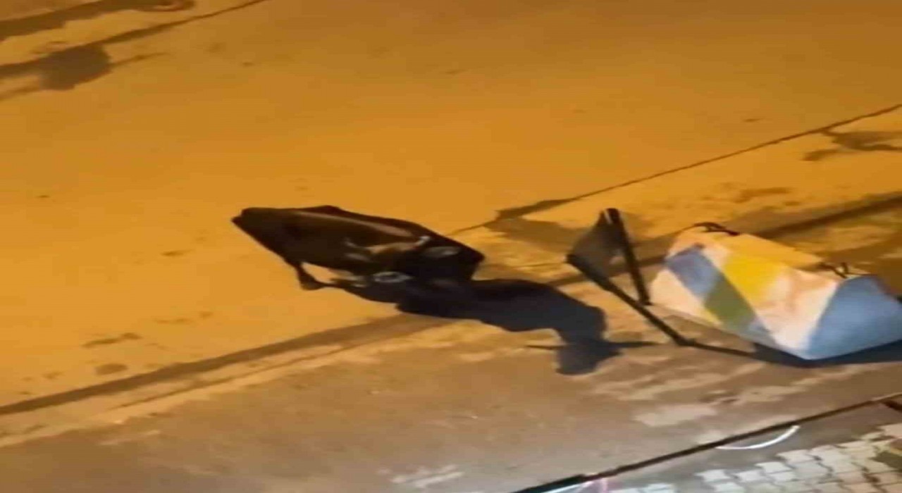 Elazığda 3 gündür hastane önünde bekliyor: Akıbeti merak ediliyor