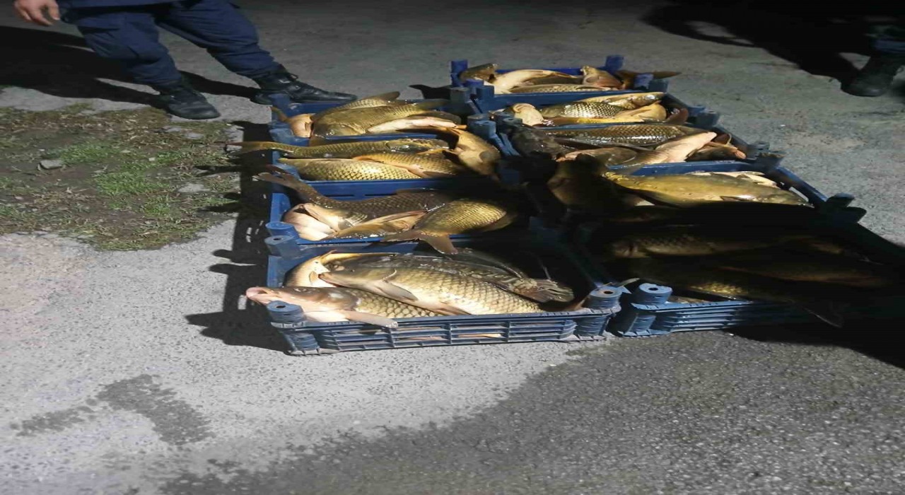 Elazığda kaçak avlanılan 210 kilo balık ele geçirildi
