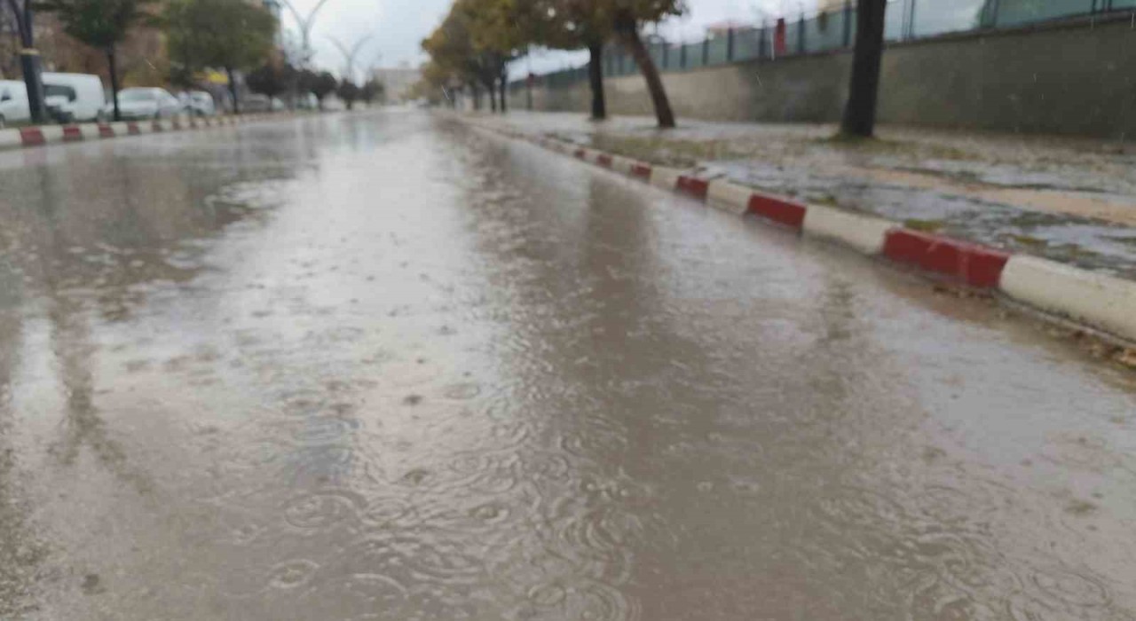 Ercişte yağmur yağışı etkili oldu