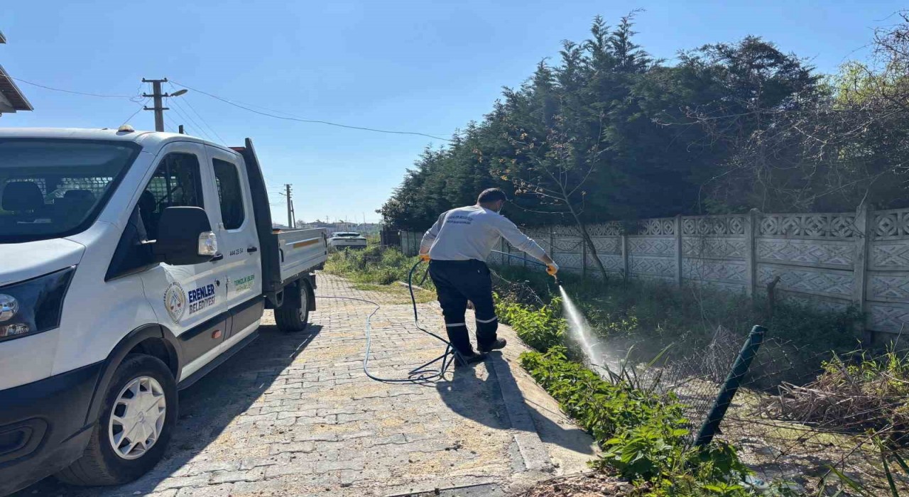 Erenler Belediyesi larva ilaçlama çalışmalarına başladı