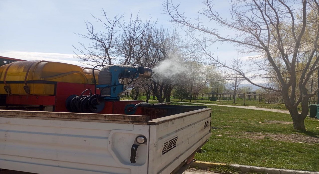 Erzincanda larva ilaçlaması devam ediyor