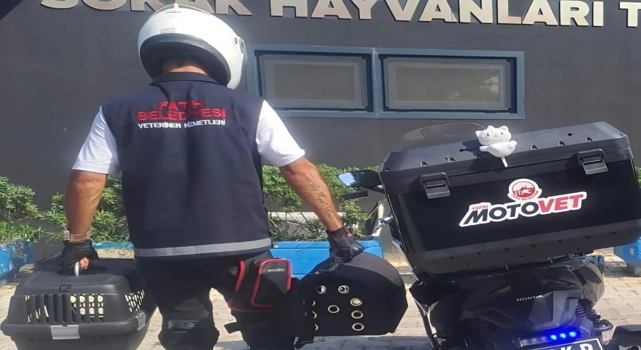 Fatih Belediyesinden doğaya can: Motovet ekibi yaralı kanatlıları hayata kazandırıyor