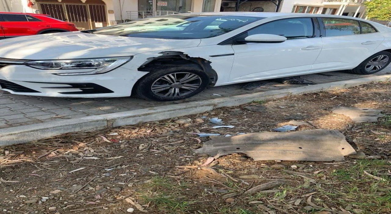 Fethiyede domuzlar otomobili parçaladı
