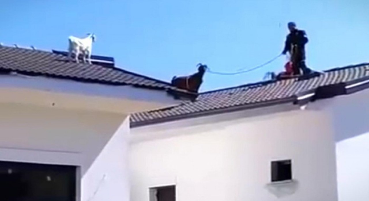 Fethiyede sıra dışı kurtarma operasyonu