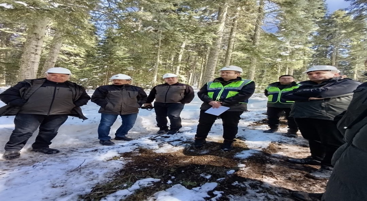 Fransız heyet, Kastamonudaki ormancılık faaliyetlerini inceledi