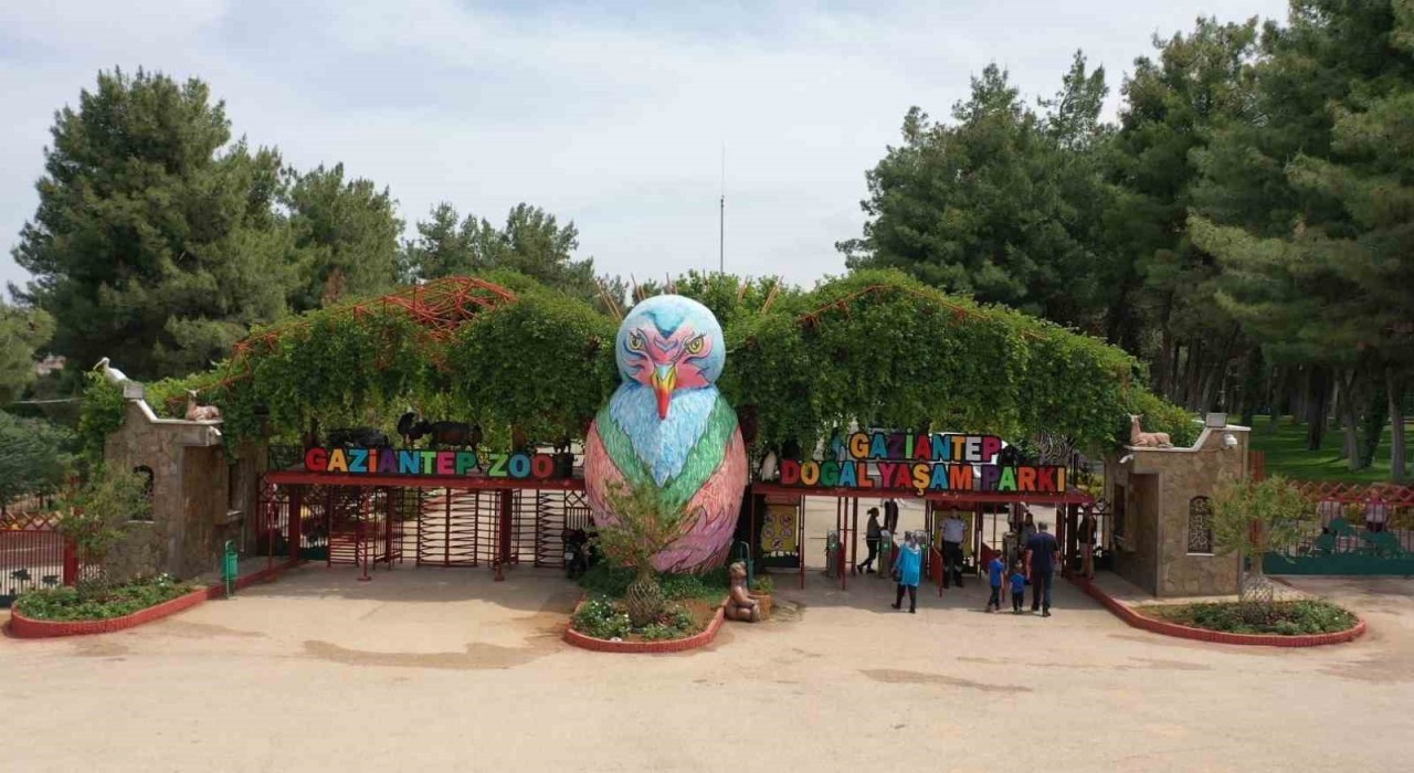 Gaziantep Doğal Yaşam Parkına Afrika Savanı ve Yırtıcı Adası geliyor