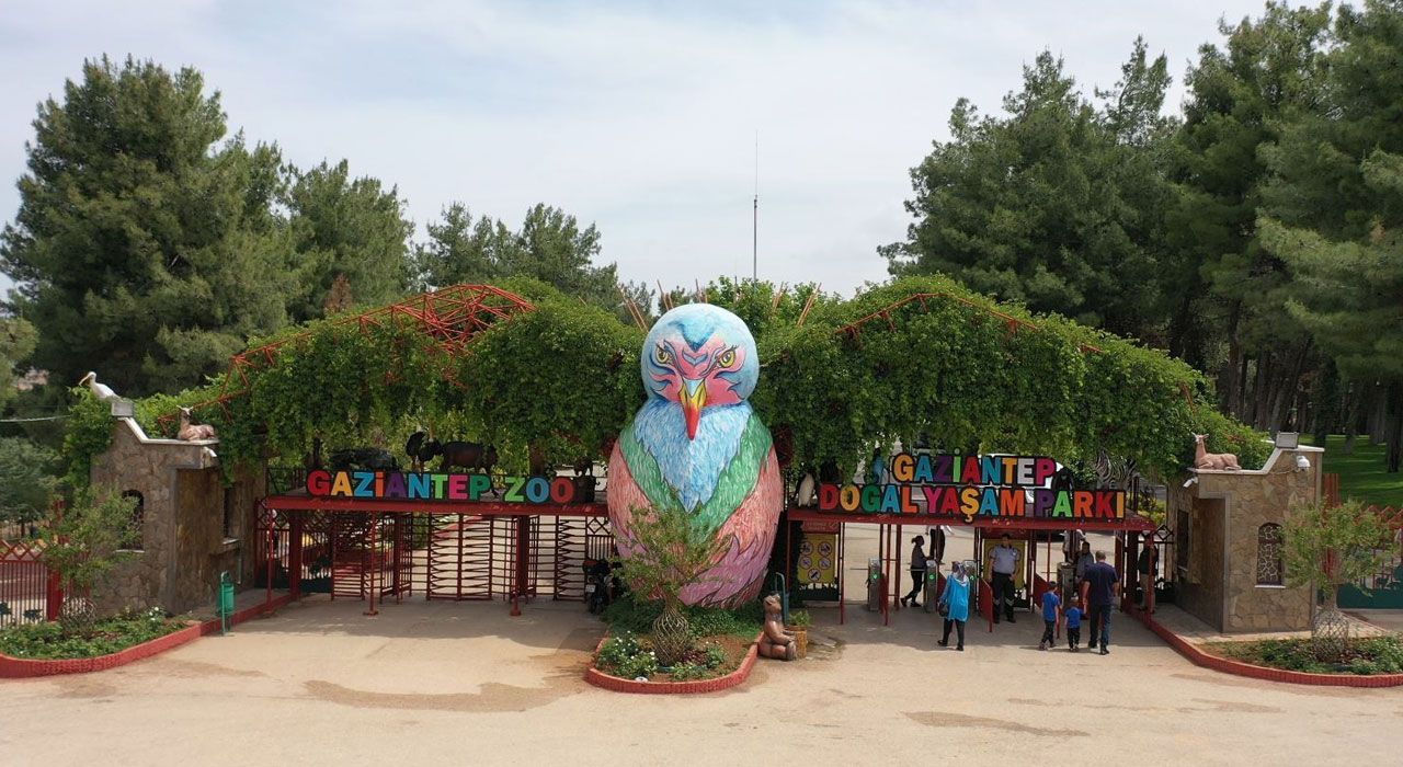 Gaziantep Doğal Yaşam Parkı’na “Afrika Savanı” ve “Yırtıcı Adası” Geliyor