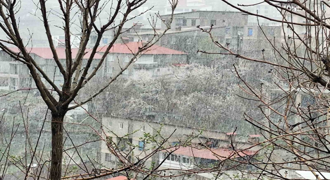 Hakkaride Nisan ayında kar yağışı etkili oldu