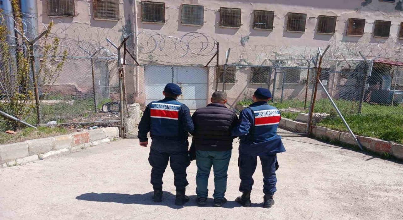 Hapis cezasıyla aranan şahıs jandarma tarafından yakalandı